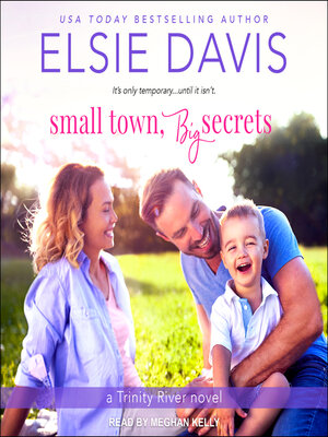 cover image of Small Town, Big Secrets